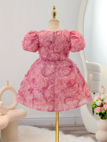 Young Girl 3D Ombre Color Rose Flower Princess Dress, Sleeveless, Party/Wedding/Flower Girl Dress