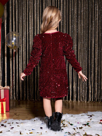 Young Girl Burgundy Sparkly Princess Dress
