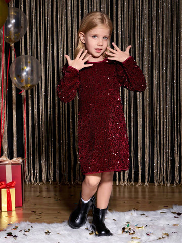 Young Girl Burgundy Sparkly Princess Dress