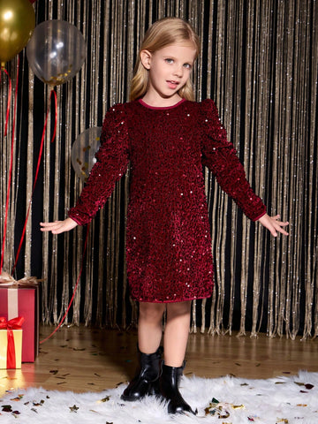 Young Girl Burgundy Sparkly Princess Dress