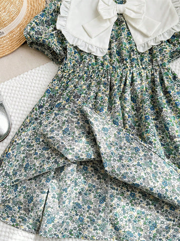 Young Girl Chiffon Ditsy Floral Ruffle Hem Casual Dress