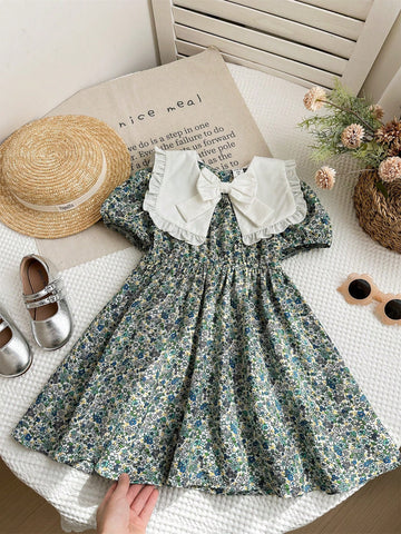 Young Girl Chiffon Ditsy Floral Ruffle Hem Casual Dress