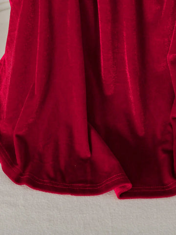 Young Girl Commuting Elegant Casual Ladylike Stand Collar Long Sleeve Burgundy Velvet 3D Floral Decor Princess Dress