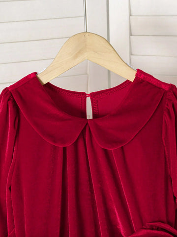 Young Girl Commuting Elegant Casual Ladylike Stand Collar Long Sleeve Burgundy Velvet 3D Floral Decor Princess Dress