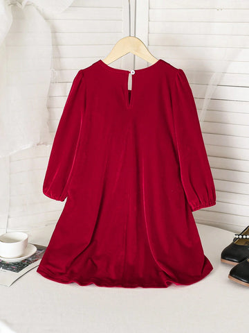Young Girl Commuting Elegant Casual Ladylike Stand Collar Long Sleeve Burgundy Velvet 3D Floral Decor Princess Dress