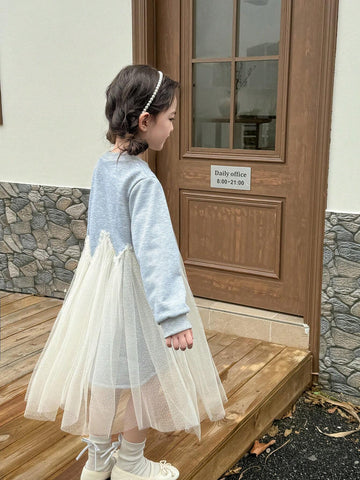 Young Girl Crew Neck Butterfly Print Mesh Patchwork Long Sleeve Dress