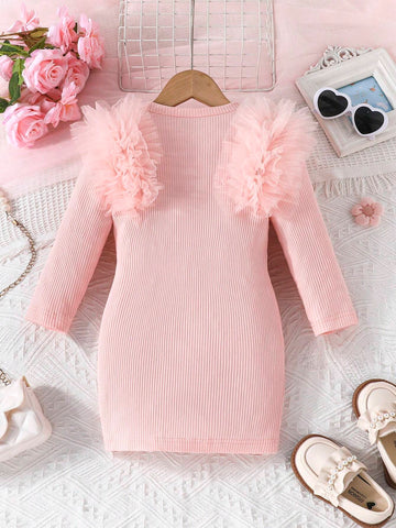 Young Girl Cute & Fashionable Casual Floral Lace Trim Round Neck Long Sleeve Dress, Spring Autumn