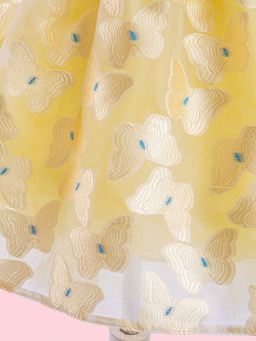 Young Girl Dress With Butterfly Embroidery And Flare Sleeves, Party Dress'