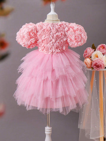 Young Girl Elegant 3D Flower Patched Contrast Mesh Dress, Summer