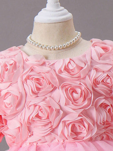 Young Girl Elegant 3D Flower Patched Contrast Mesh Dress, Summer