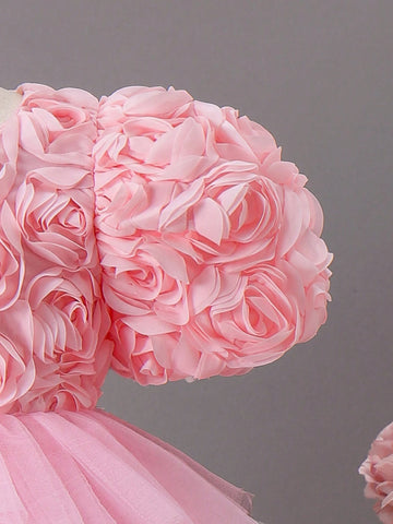 Young Girl Elegant 3D Flower Patched Contrast Mesh Dress, Summer