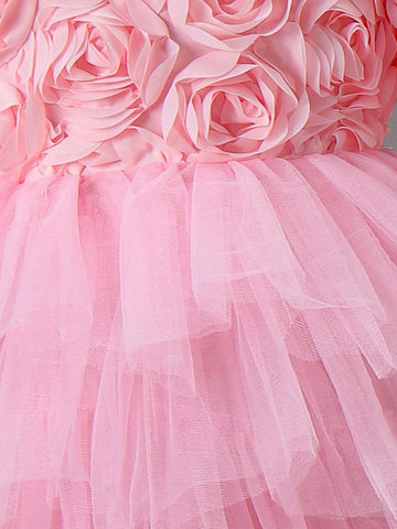 Young Girl Elegant 3D Flower Patched Contrast Mesh Dress, Summer