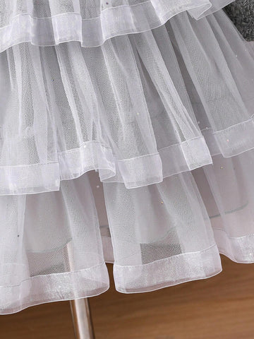 Young Girl Elegant Contrast Mesh Layered Hem Dress, Autumn