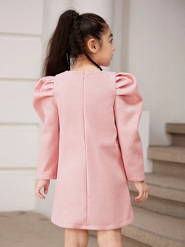 Young Girl Elegant Floral 3D Decorated Puff Sleeve Dress, Spring & Autumn