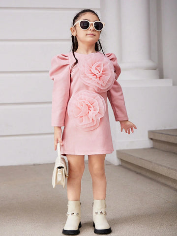 Young Girl Elegant Floral 3D Decorated Puff Sleeve Dress, Spring & Autumn