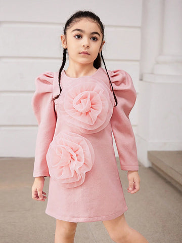 Young Girl Elegant Floral 3D Decorated Puff Sleeve Dress, Spring & Autumn