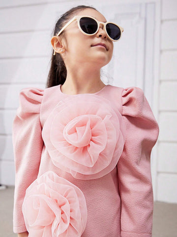 Young Girl Elegant Floral 3D Decorated Puff Sleeve Dress, Spring & Autumn