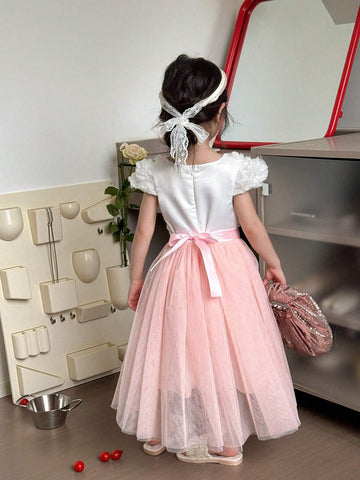 Young Girl Flower Girl Party Gorgeous 3D Flower Detail Contrast Mesh Long Dress