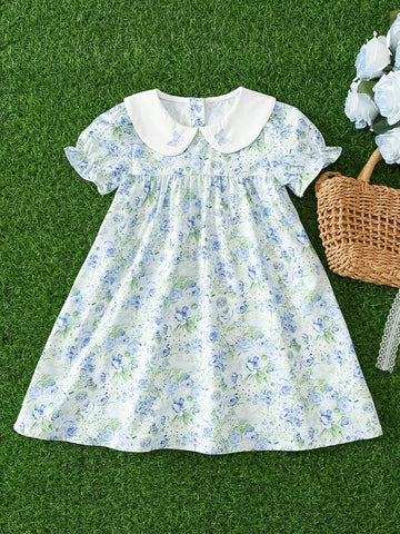 Young Girl Flutter Sleeve Embroidered Butterfly Print Floral Princess Dress