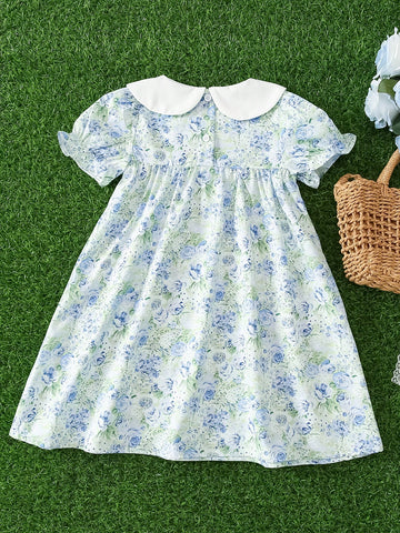 Young Girl Flutter Sleeve Embroidered Butterfly Print Floral Princess Dress