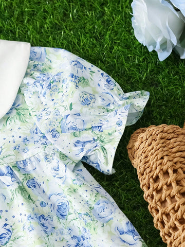 Young Girl Flutter Sleeve Embroidered Butterfly Print Floral Princess Dress