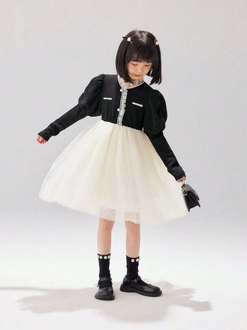 Young Girl Net Patchwork Princess Dress, Autumn/Winter, Birthday Party And Banquet Occasion