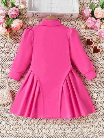 Young Girl Plain Long Sleeve Pleated Colorblock Trim Detail Dress