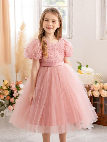 Young Girl Puff Sleeve Embroidered Mesh Princess Dress, Suitable For Birthday Party, Wedding, Flower Girl, Stage Performance