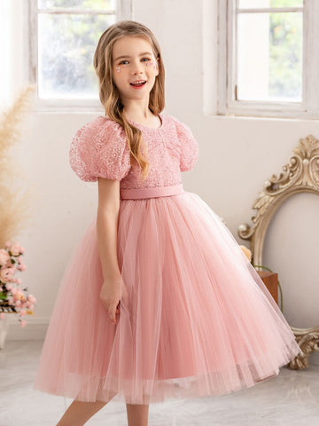 Young Girl Puff Sleeve Embroidered Mesh Princess Dress, Suitable For Birthday Party, Wedding, Flower Girl, Stage Performance