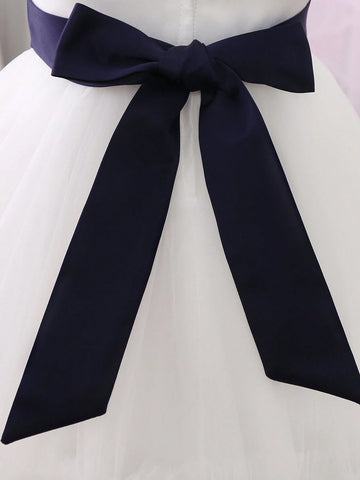 Young Girl Round Neck Mesh Patchwork Color Block Sleeveless Princess Dress