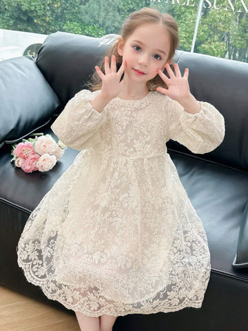 Young Girl Solid Color Lantern Sleeve Floral Embroidery Lace Dress Spring/Autumn