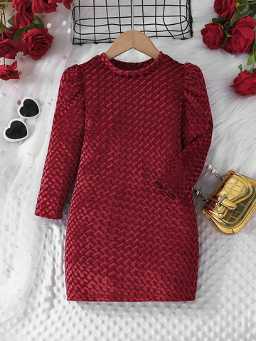 Young Girl Solid Color Round Neck Long Sleeve Casual Dress For Outdoor, Spring Autumn