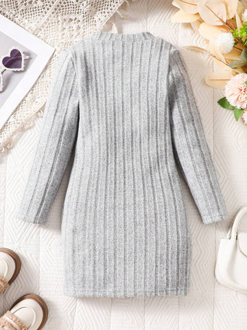 Young Girl Solid Color Round Neck Long Sleeve Fleece Lining Casual Everyday Dress, Autumn/Winter