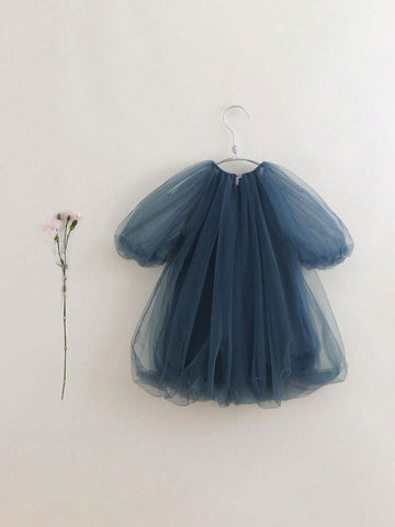 Young Girl Sweet Puff Sleeve Tulle Gown Princess Dress, Summer