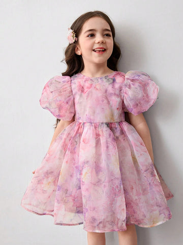 Young Girl Woven Mesh Puff Sleeve Fitted Casual Dress