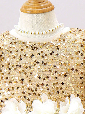 Young Girl's Color Blocked Sequined Bubble Sleeve Floral 3d Mesh Dress