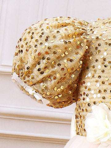 Young Girl's Color Blocked Sequined Bubble Sleeve Floral 3d Mesh Dress