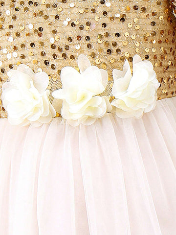 Young Girl's Color Blocked Sequined Bubble Sleeve Floral 3d Mesh Dress