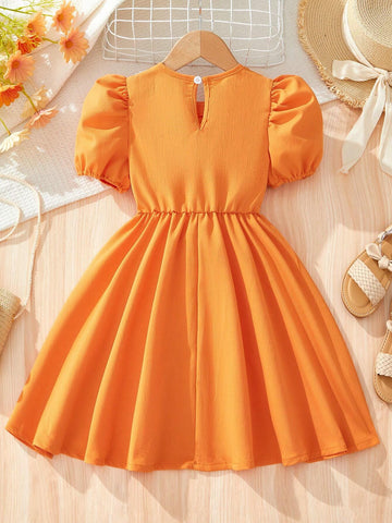 Young Girls' Colorblock Doll Collar Dress With Flower Embroidery And Puff Sleeves For Summer