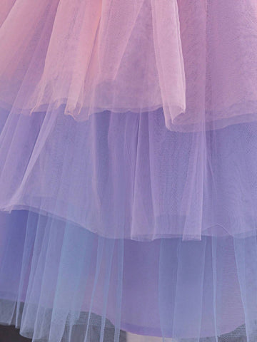 Young Girl's Dreamy Princess Style Sequin Panel Casual Patchwork Colorful Mesh Spaghetti Strap Dress