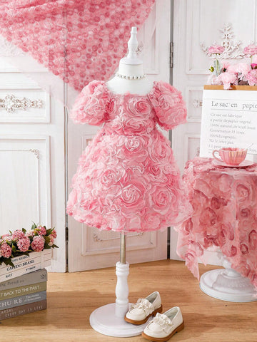 Young Girls' Embroidered Net Yarn Puff Sleeve Dress