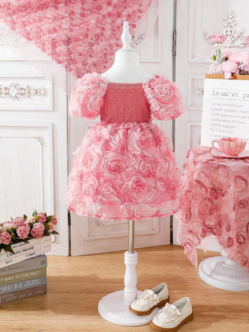 Young Girls' Embroidered Net Yarn Puff Sleeve Dress