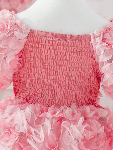 Young Girls' Embroidered Net Yarn Puff Sleeve Dress