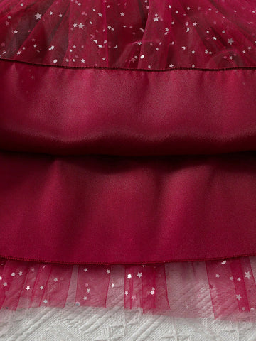 Young Girls Pink Star Sequin Mesh Tutu Dress, Bowknot Decor, Long Sleeve Princess Party Gown, Spring Autumn