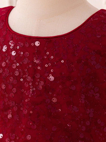 Young Girls Sequin Pleated Tulle Birthday Party Flower Girl Dress For School Performance, Wedding