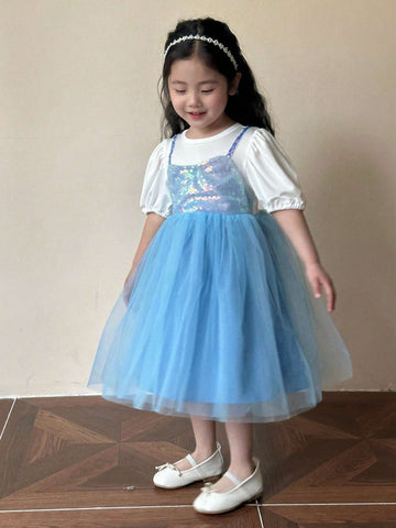 Young Girls' Short Sleeve Mesh Dress