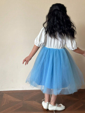 Young Girls' Short Sleeve Mesh Dress