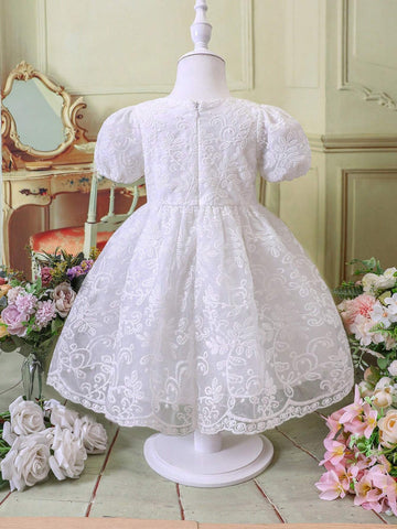 Young Girls Spring/Summer Puffy Princess Style Party Dress