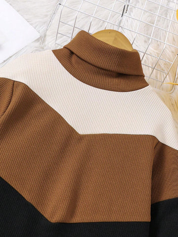 Young Girls Turtleneck Colorblock Knit Casual Dress, Autumn/Winter