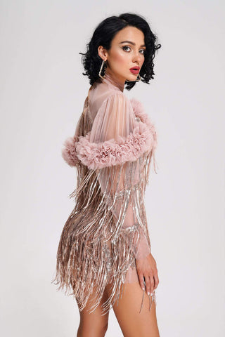 Rei Tassel Mesh Mini Dress